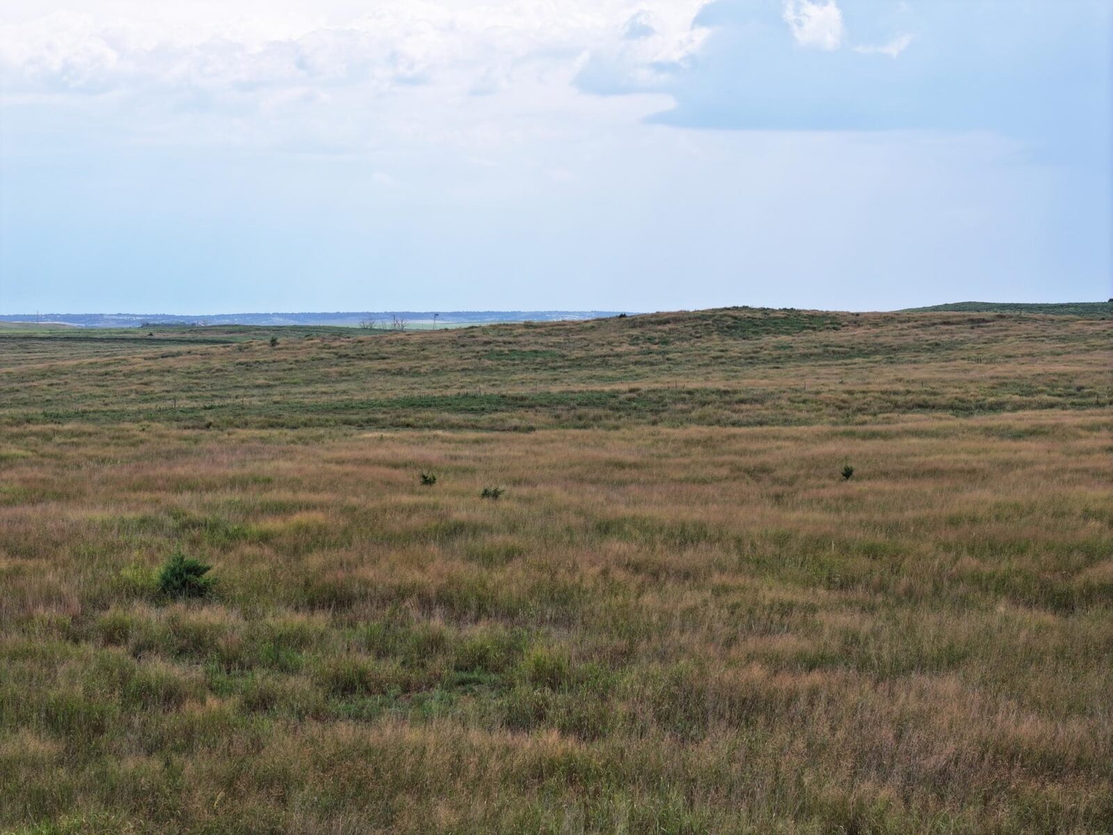 Lincoln County Nebraska ranch pasture land for sale