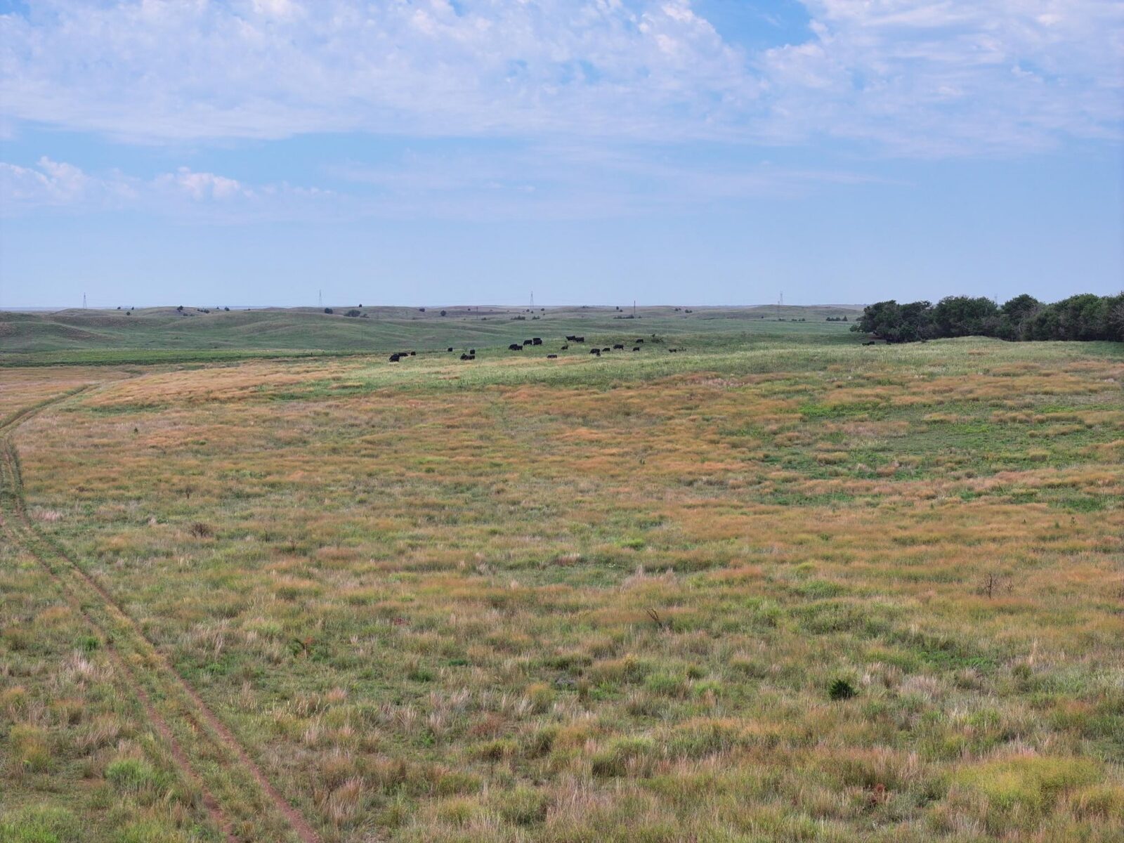 Lincoln County Nebraska ranch pasture land for sale