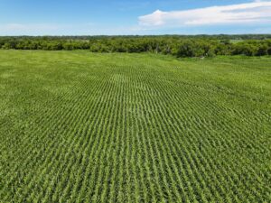 Farm for sale Lincoln County, NE