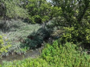 Farm for sale Lincoln County, NE