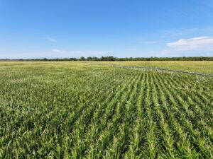 Farm for sale Lincoln County, NE