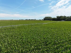 Farm for sale Lincoln County, NE