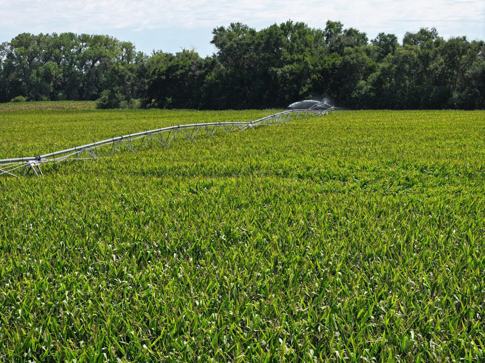 Farm for sale Lincoln County, NE