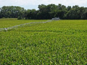Farm for sale Lincoln County, NE