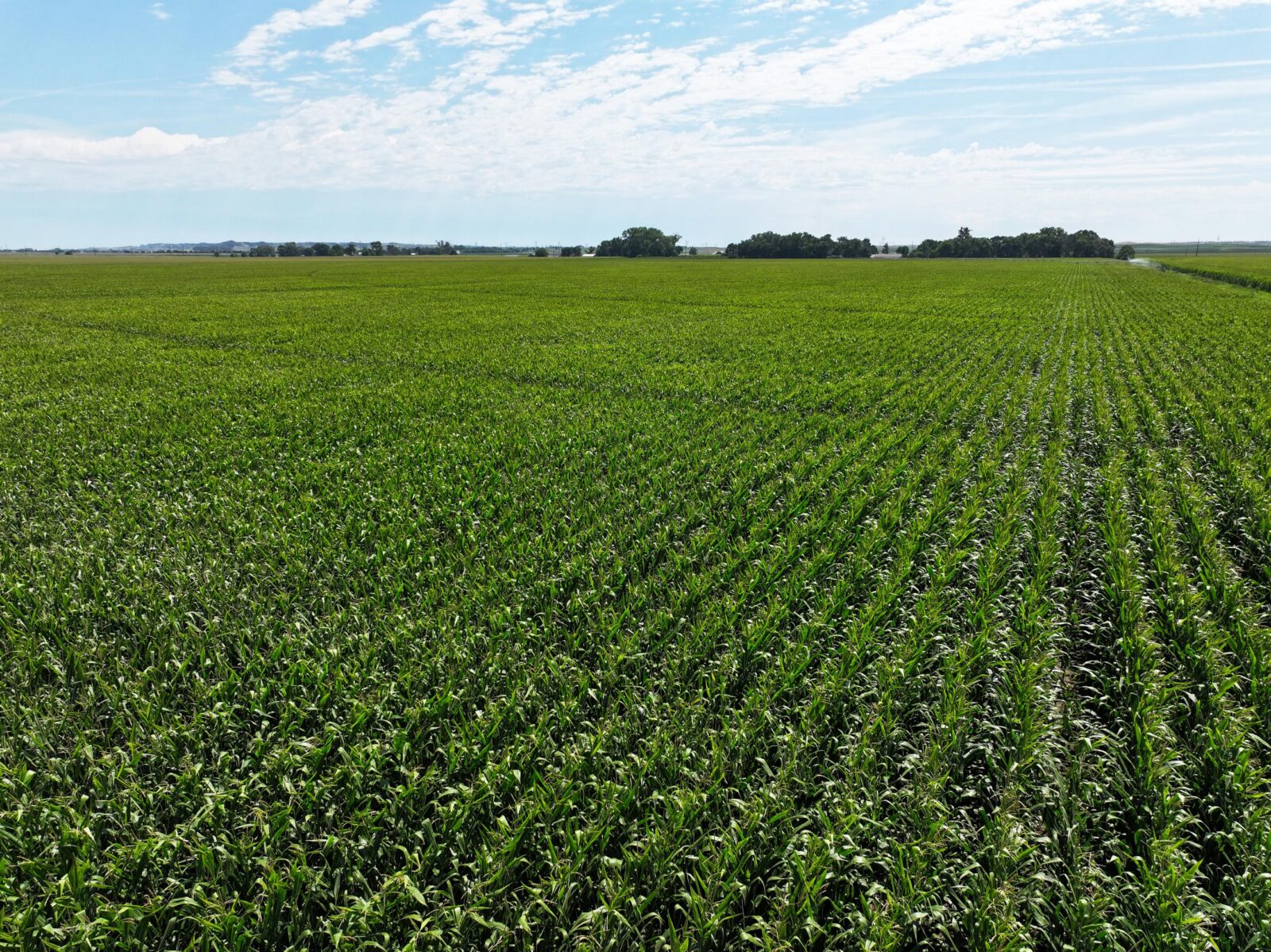 Farm for sale Lincoln County, NE