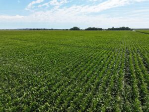 Farm for sale Lincoln County, NE