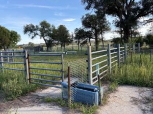 Thedford, NE home acreage for sale