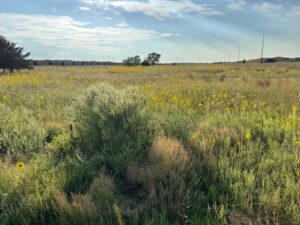Thedford, NE home acreage for sale