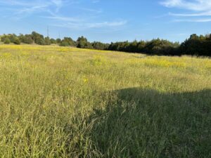 Thedford, NE home acreage for sale