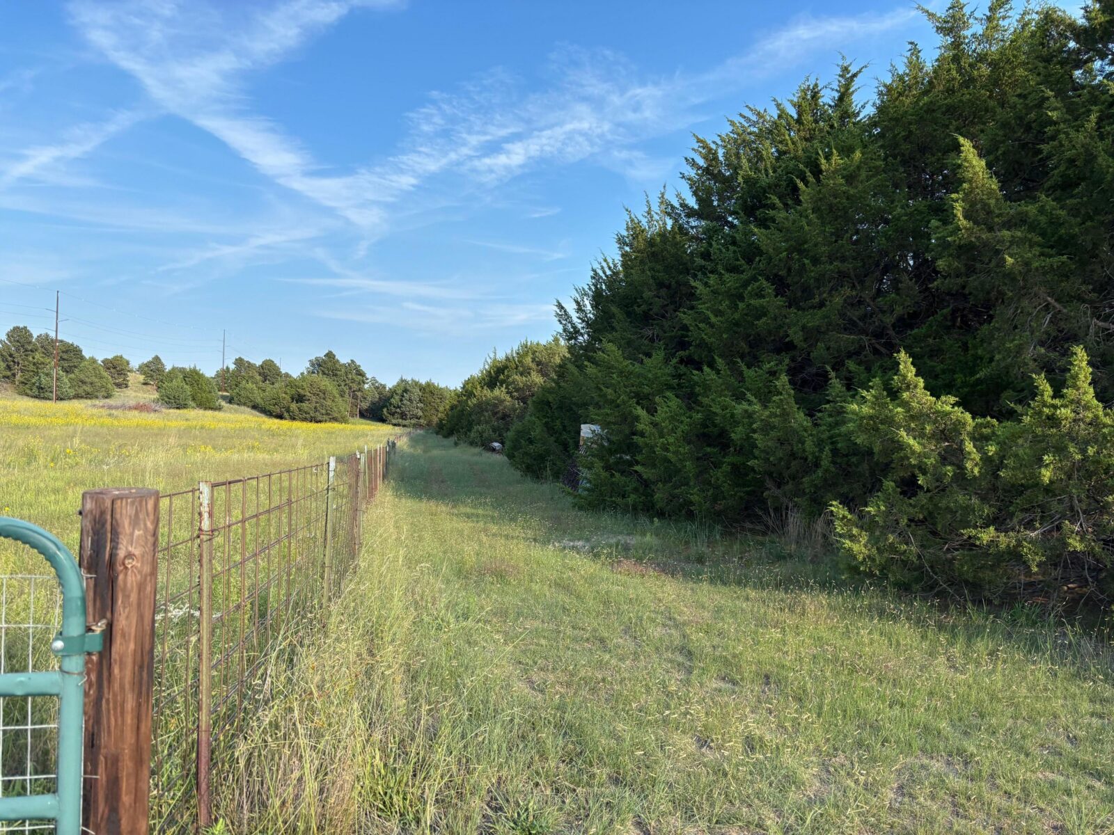Thedford, NE home acreage for sale