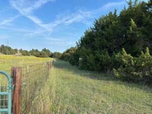 Thedford, NE home acreage for sale