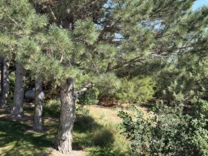 166 Hillcrest Dr., North Platte, NE