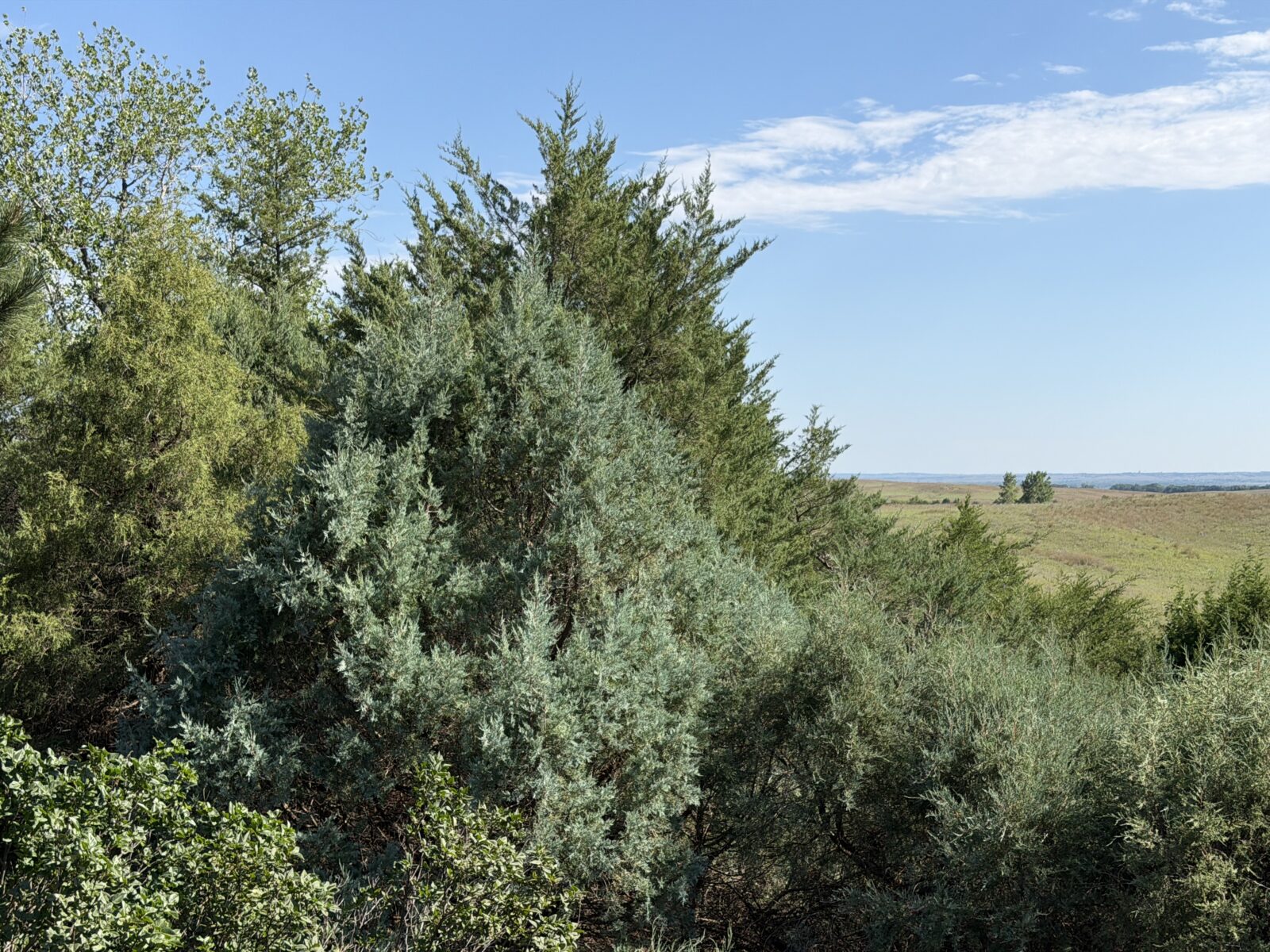 166 Hillcrest Dr., North Platte, NE