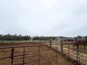 Box Butte County Nebraska acreage feedlot for sale