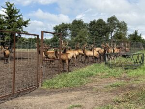 Custer County Nebraska hunting land for sale