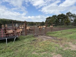 Custer County Nebraska hunting land for sale
