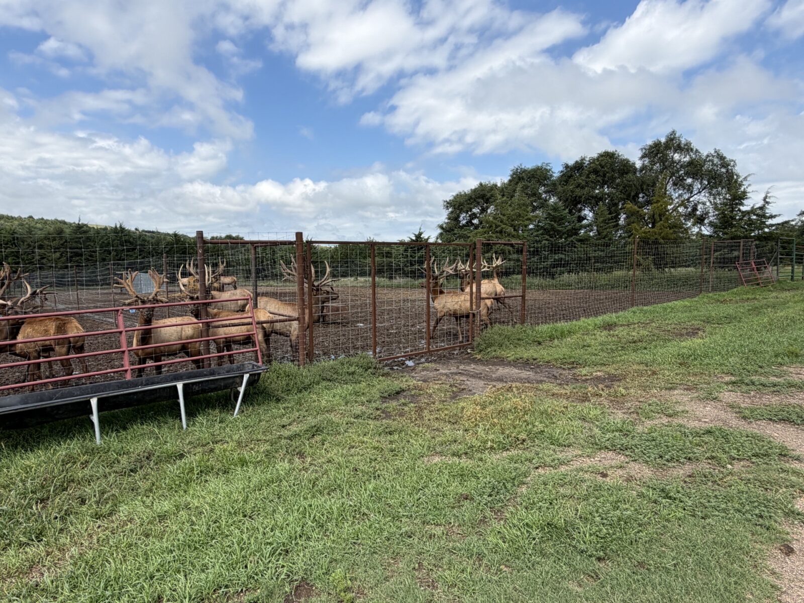 Custer County Nebraska hunting land for sale