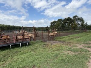 Custer County Nebraska hunting land for sale