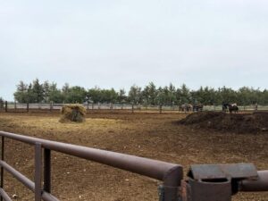 Box Butte County Nebraska acreage feedlot for sale
