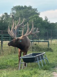 Custer County Nebraska hunting land for sale