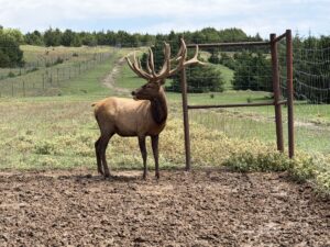 Custer County Nebraska hunting land for sale