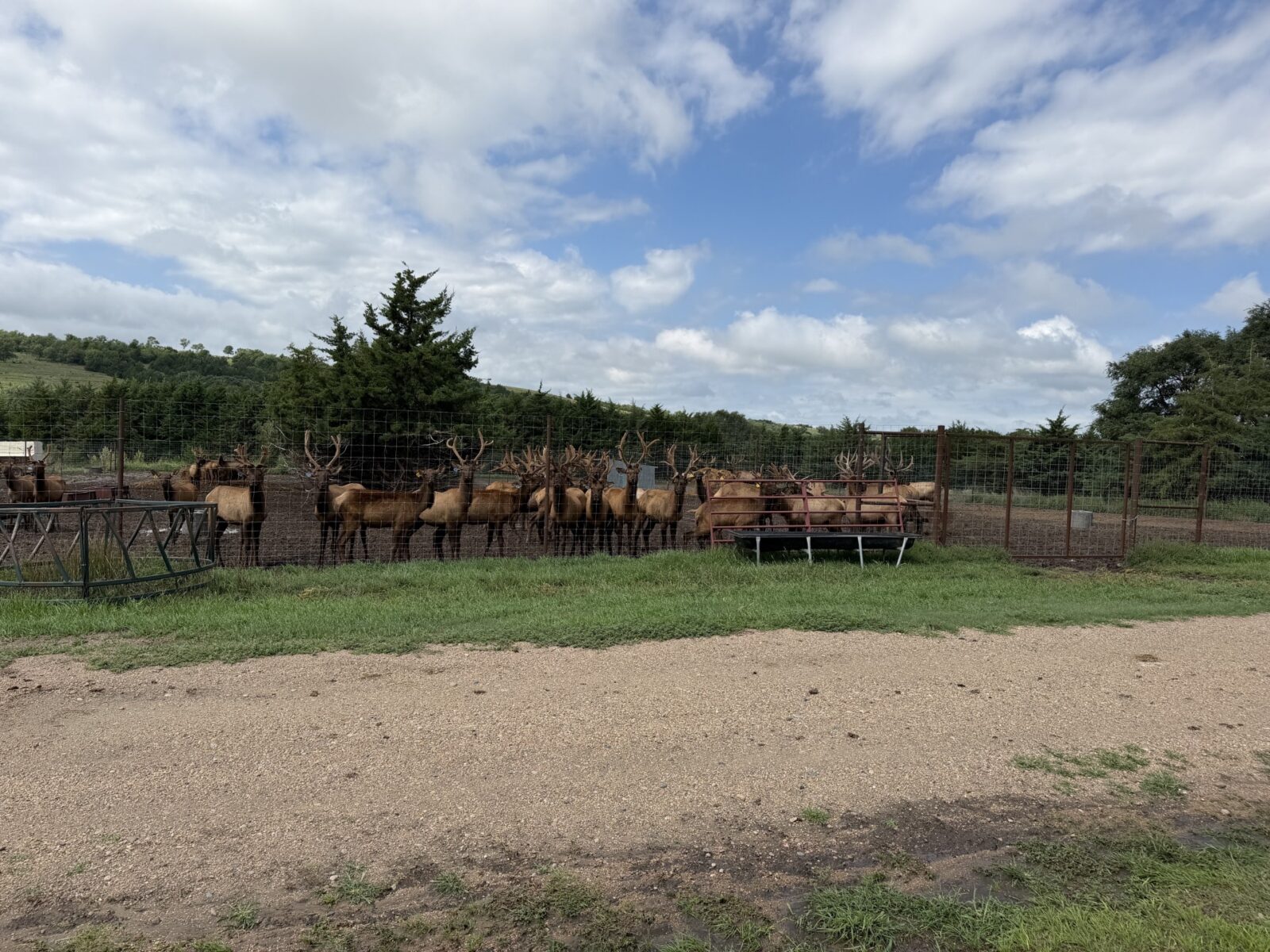 Custer County Nebraska hunting land for sale