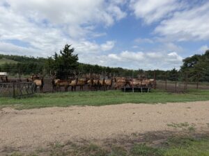 Custer County Nebraska hunting land for sale