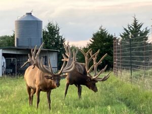 Custer County Nebraska hunting land for sale