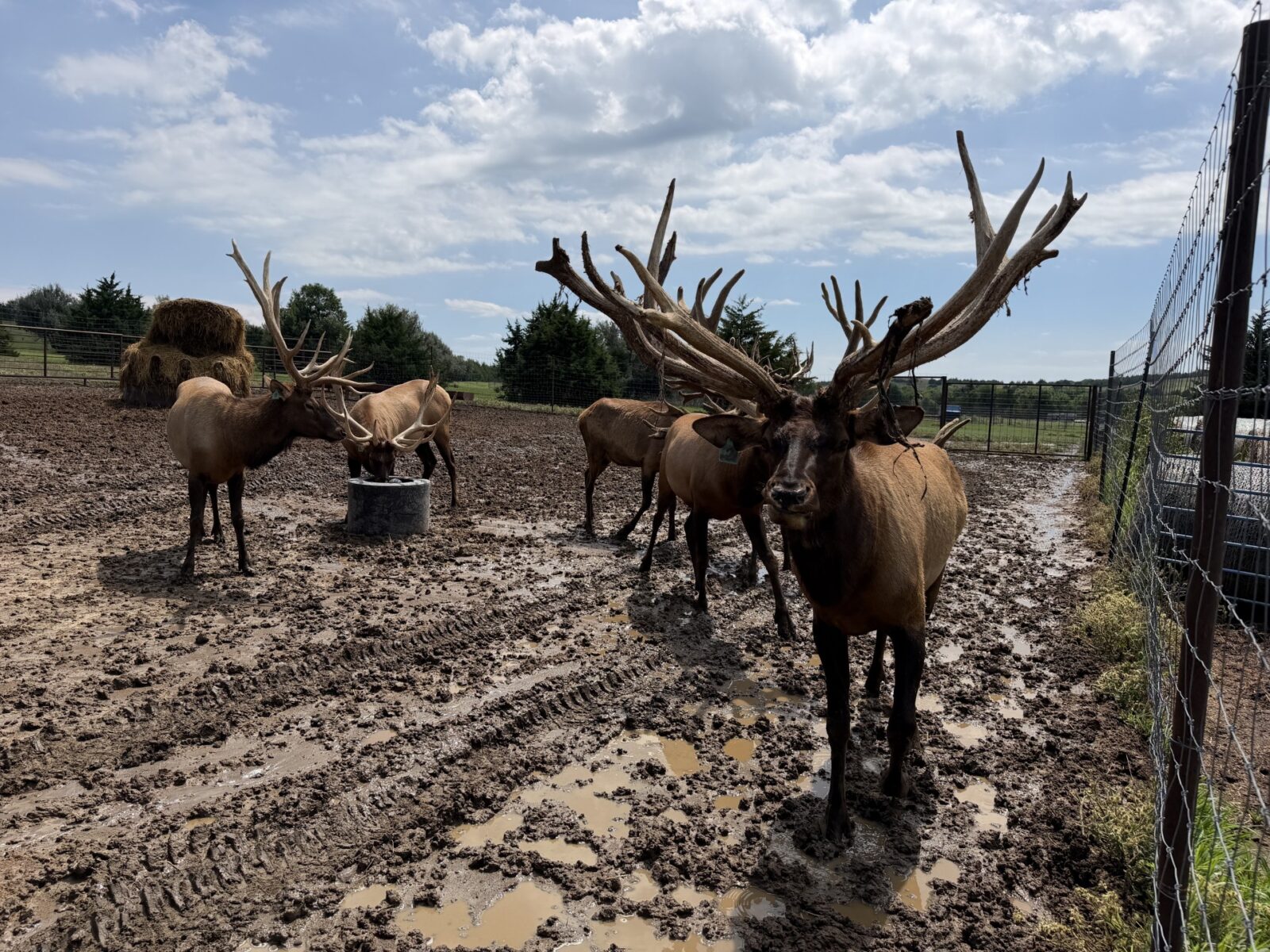 Custer County Nebraska hunting land for sale