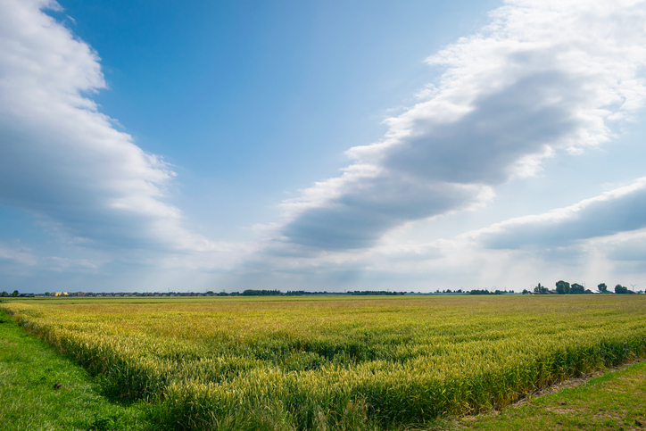 Land Loans  