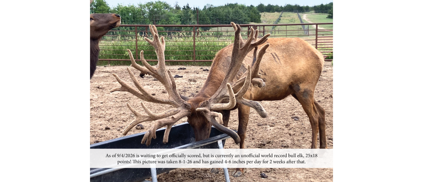 world record bull elk, custer county nebraska ranch for sale