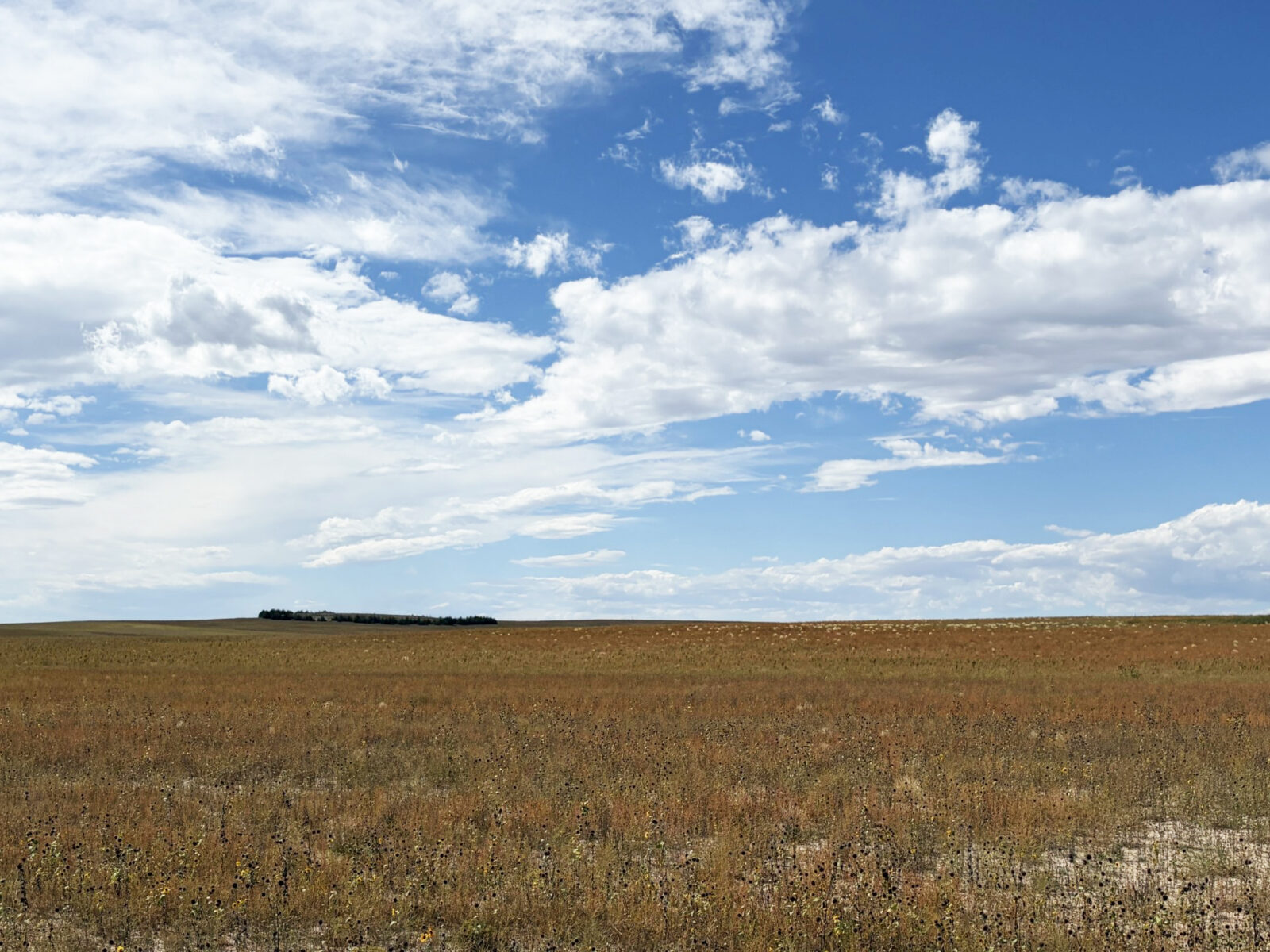Kimball County Nebraska land for sale