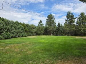 Imperial, Nebraska home with land for sale