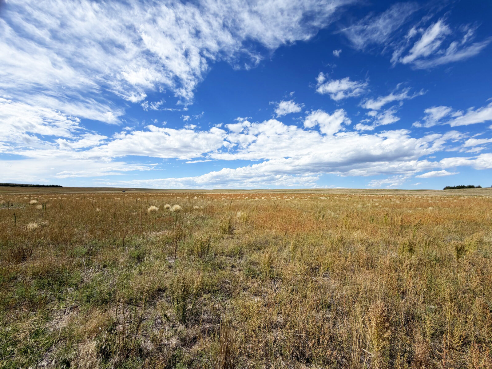 Kimball County Nebraska land for sale