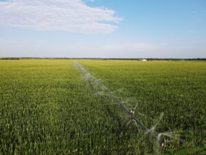 Long Pine Nebraska country acreage with large shop for sale