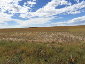 Kimball County Nebraska land for sale