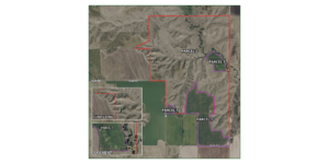 1289 Acres, Dundy County Dryland and Range Absolute Auction