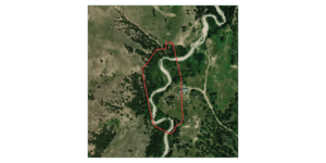 16 Acres, Plum Creek Paradise