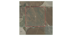 160 Acres, Western Lincoln County Pivot Absolute Auction
