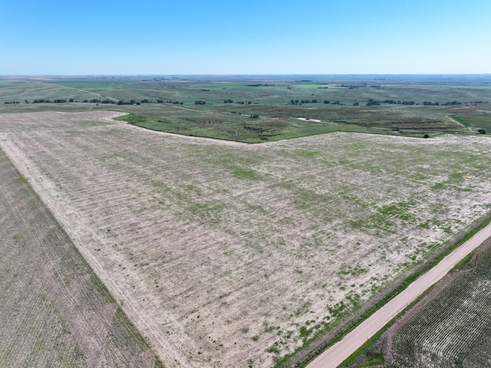 1289 Acres, Dundy County Dryland and Range Absolute Auction