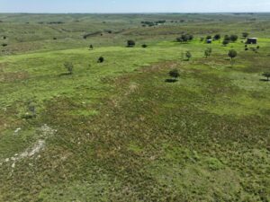 Nebraska land for sale auction Dundy county