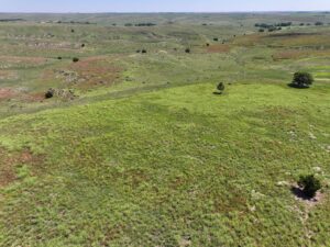 Nebraska land for sale auction Dundy county