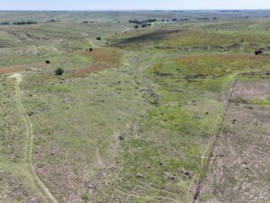 Nebraska land for sale auction Dundy county