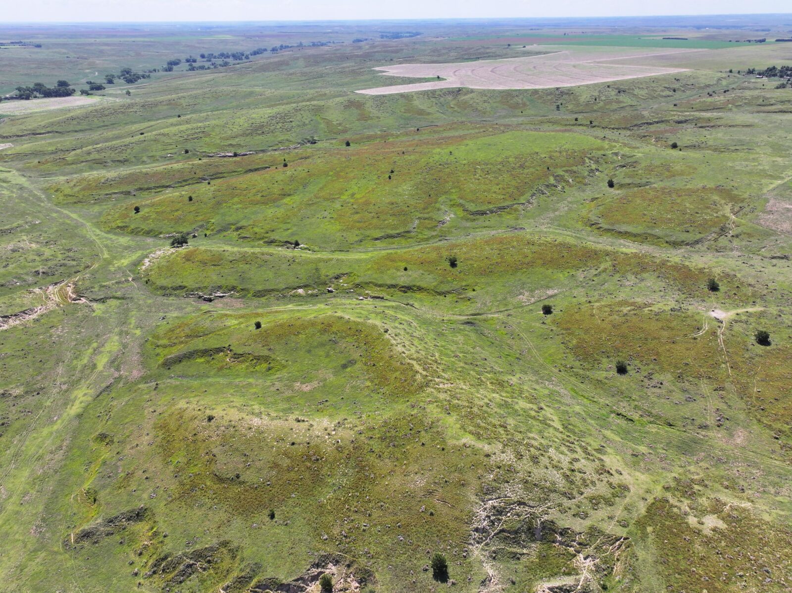 Nebraska land for sale auction Dundy county