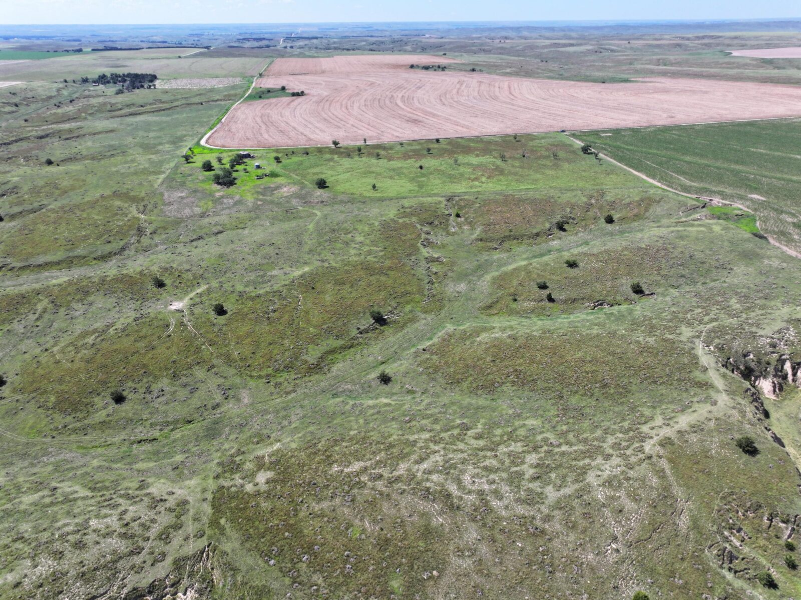 Nebraska land for sale auction Dundy county