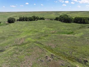 Nebraska land for sale auction Dundy county
