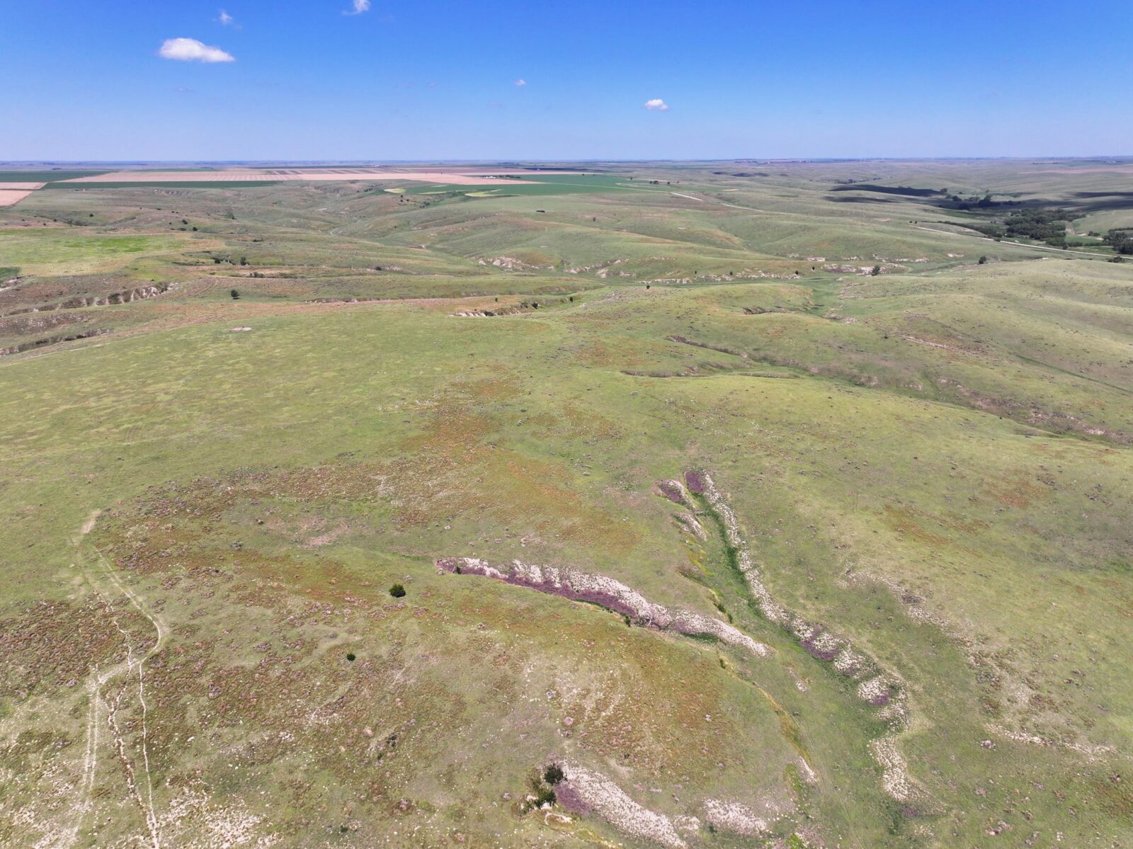 Nebraska land for sale auction Dundy county