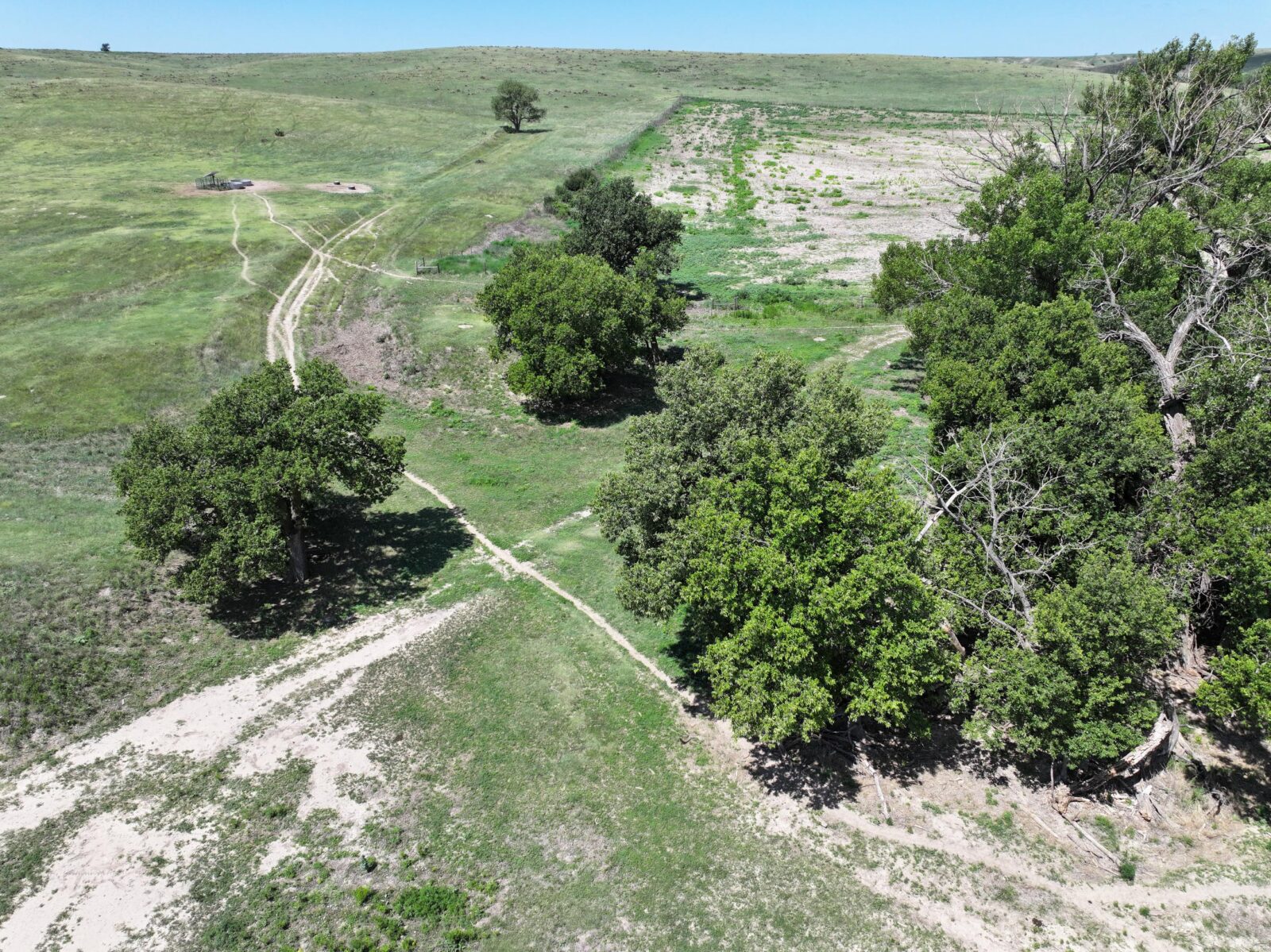 1289 Acres, Dundy County Dryland and Range Absolute Auction