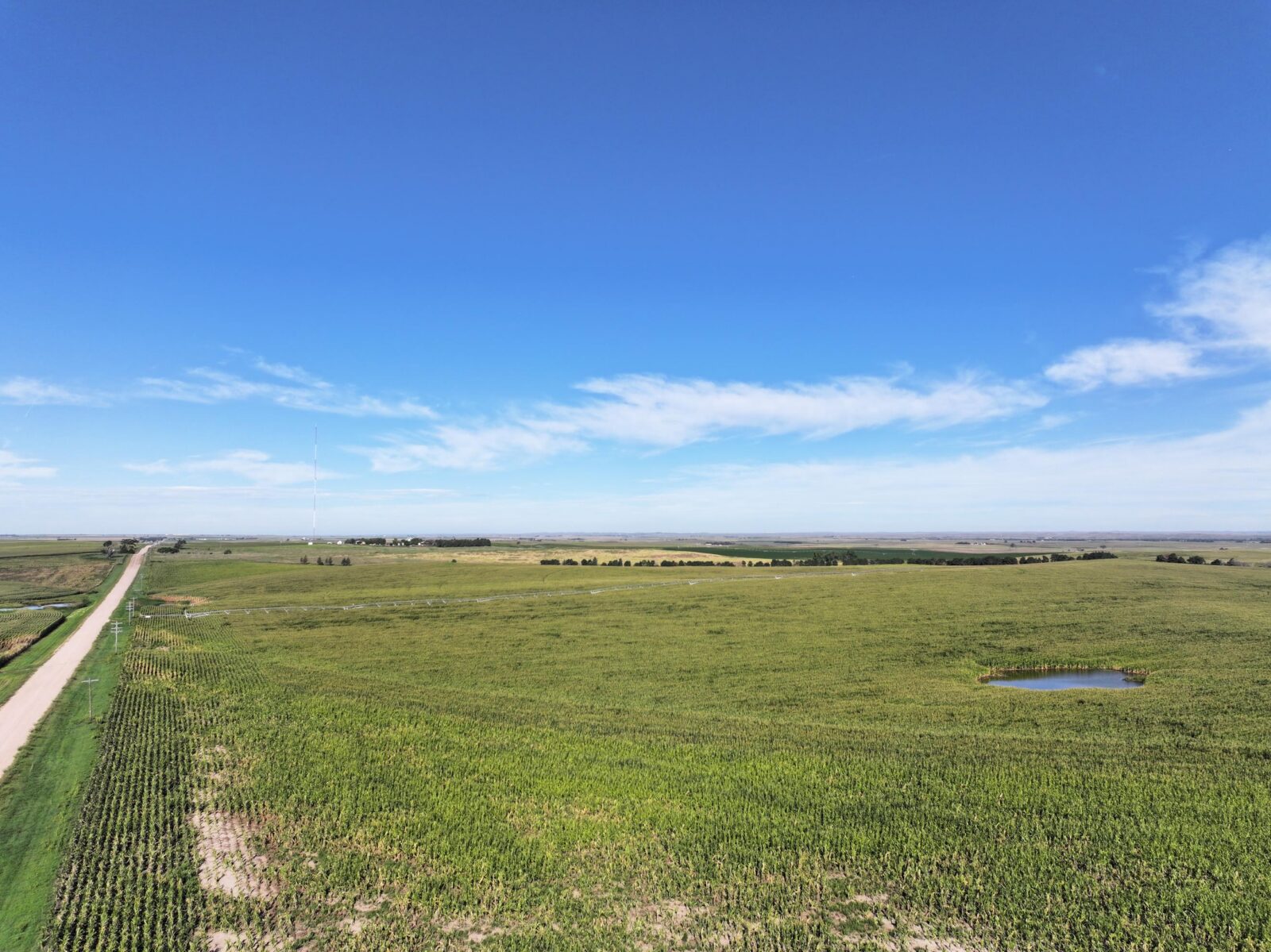 Land auction lincoln County nebraska