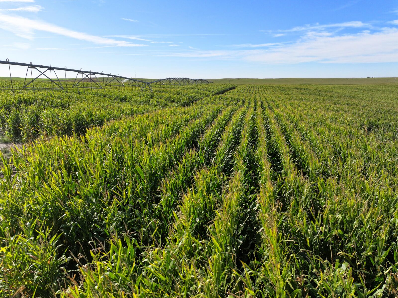 Land auction lincoln County nebraska